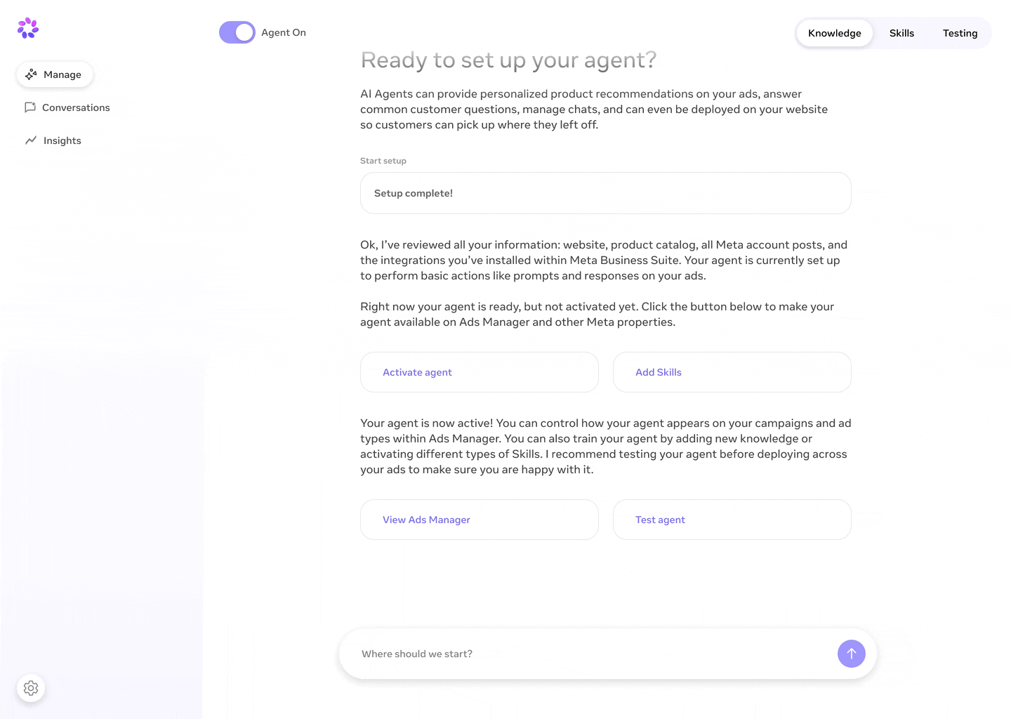 Chatting with the agent